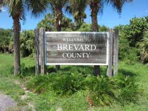 brevard county wildlife removal